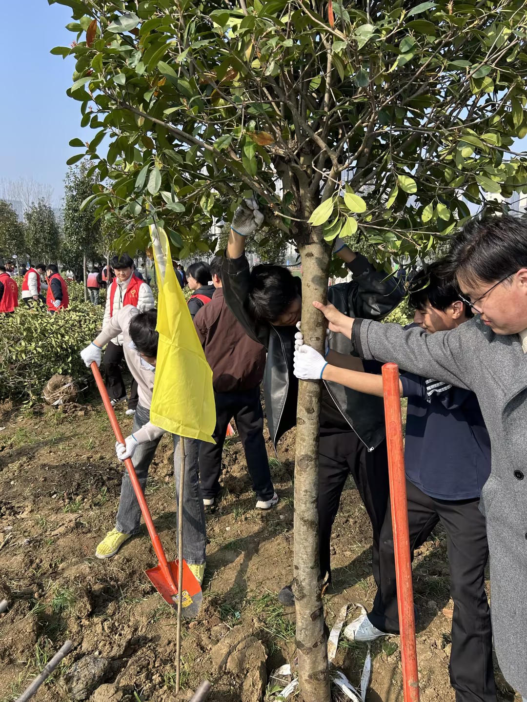 85bcaa53-0782-4490-8970-ccf0df5892b1 85bcaa53-0782-4490-8970-ccf0df5892b1